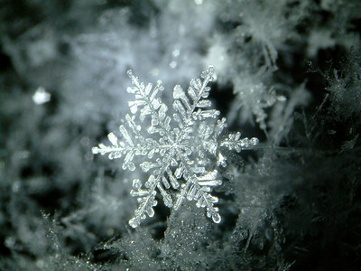 macro photo of a snowflake